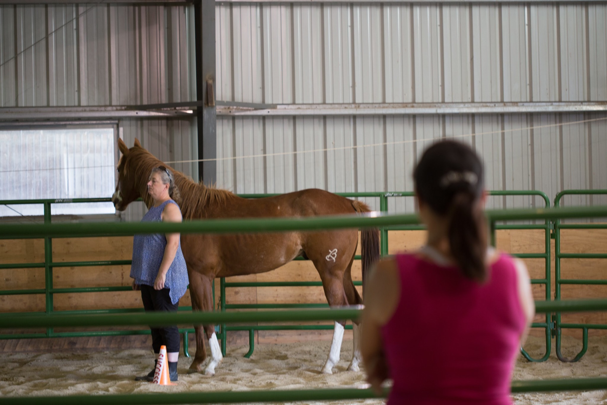 Equine Gestalt practitioner observing a participant standing beside a horse in the arena