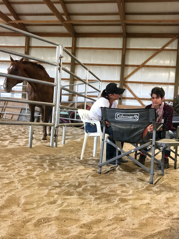 Facilitated Equine Gestalt session in the arena while a horse observes nearby